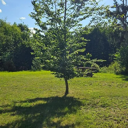 Кемпинг Mietwohnwagen Carpin